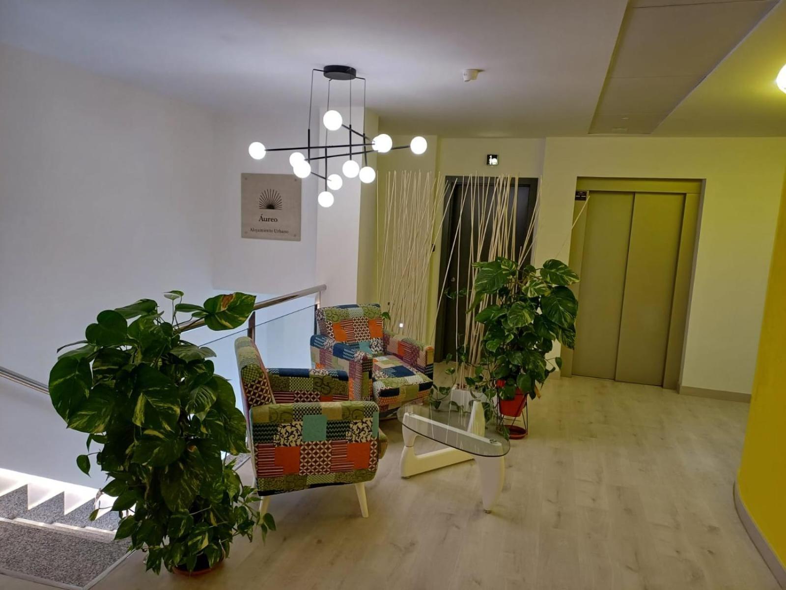 Aureo Alojamiento Urbano Abarán Exteriör bild